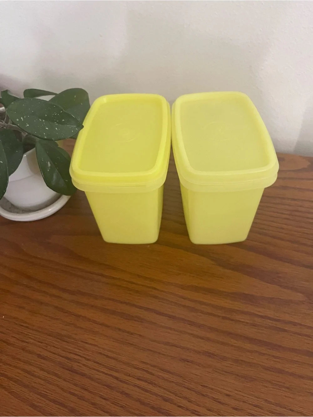 Yellow Plastic Food Storage Containers - Set of 2